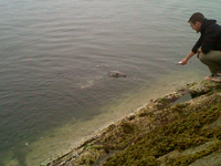 Seal interaction